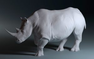 White Rhino 3d model for print