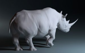 White Rhino 3d model for print