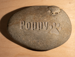Engraved stones pet memorial
