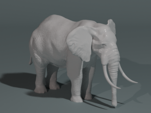 3D model of an Elephant