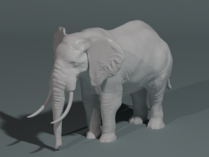 3D model of an Elephant