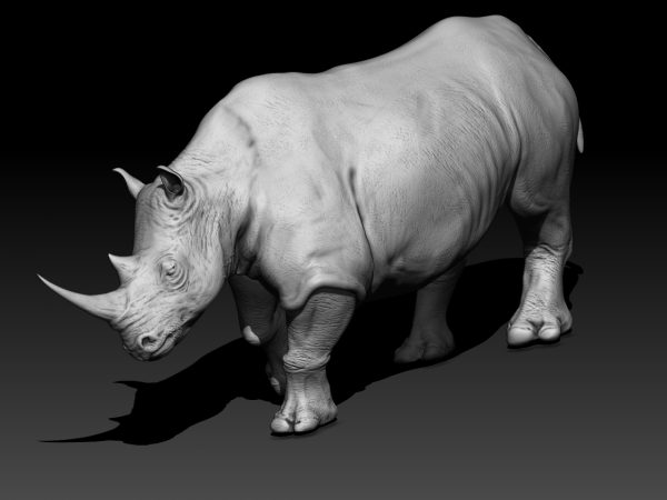 White Rhino 3d model for print
