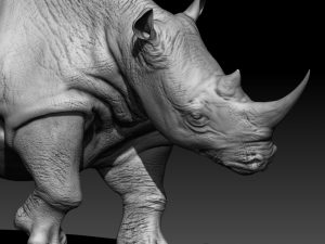 White Rhino 3d model for print