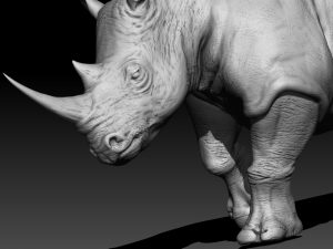White Rhino 3d model for print