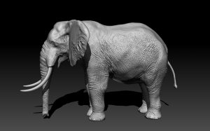 3D model of an Elephant
