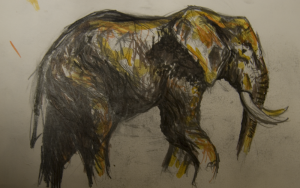 Mon3d - Illustration, Film & Photography, Anglesey, North Wales