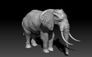 3D model of an Elephant