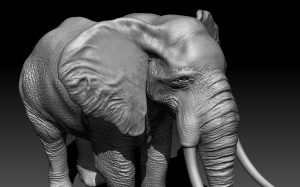 3D model of an Elephant