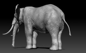 3D model of an Elephant