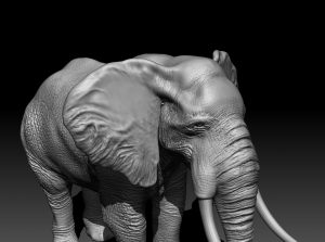 3D model of an Elephant