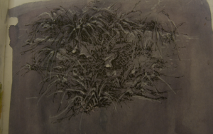 Mon3d - Illustration, Film & Photography, Anglesey, North Wales