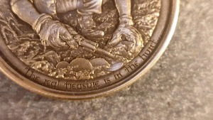 Metal detectorists coi