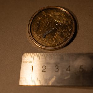 Horse head in brass | Brass Coin  | Ideal Gift for your horsey friend | Ideal Gifts