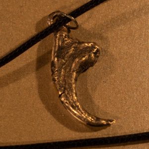 Hand sculpted Bronze casting of a  Velociraptor dinosaur  claw pendant or necklace with waxed leather chain.